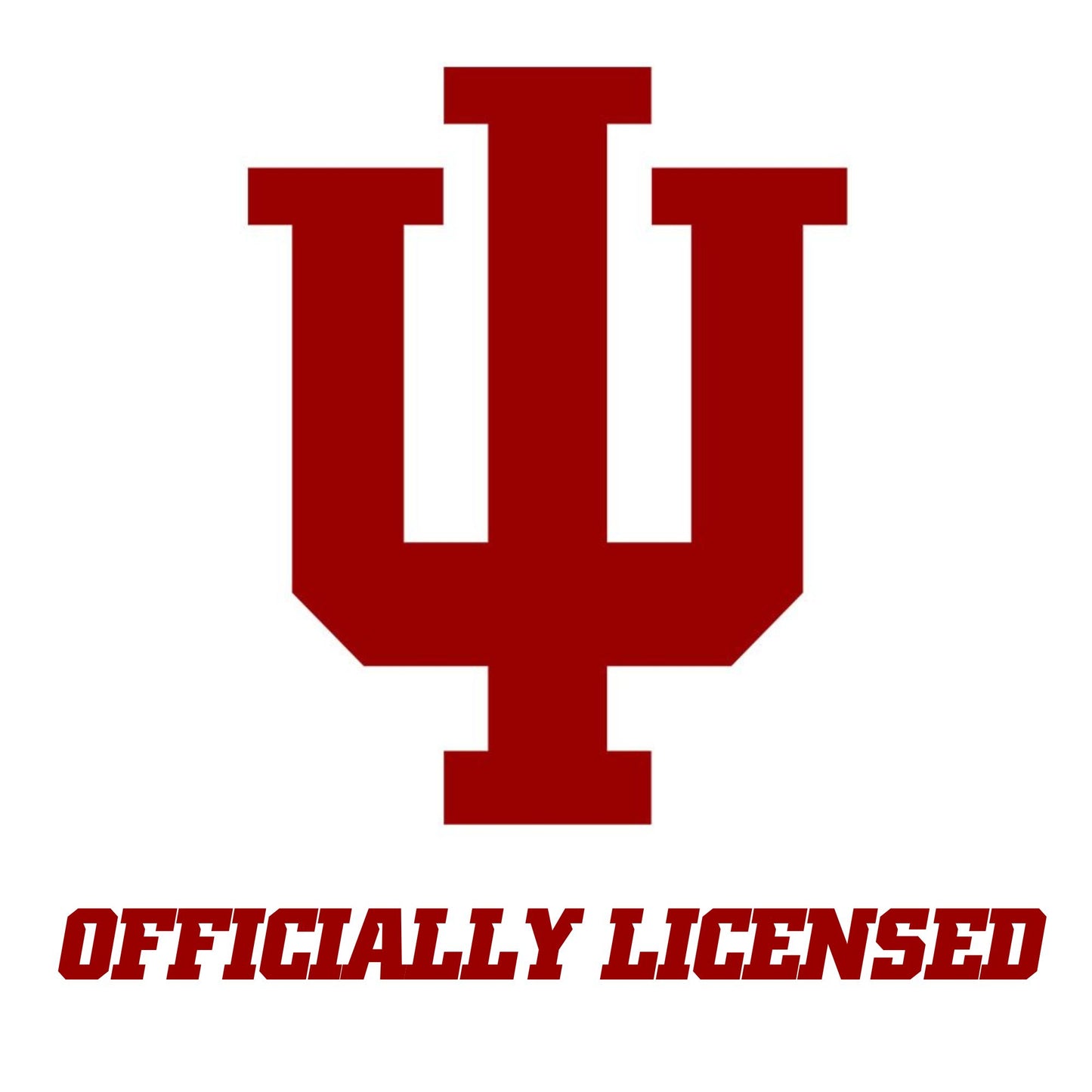 Indiana University Memorial Stadium Mini Replica Building Set