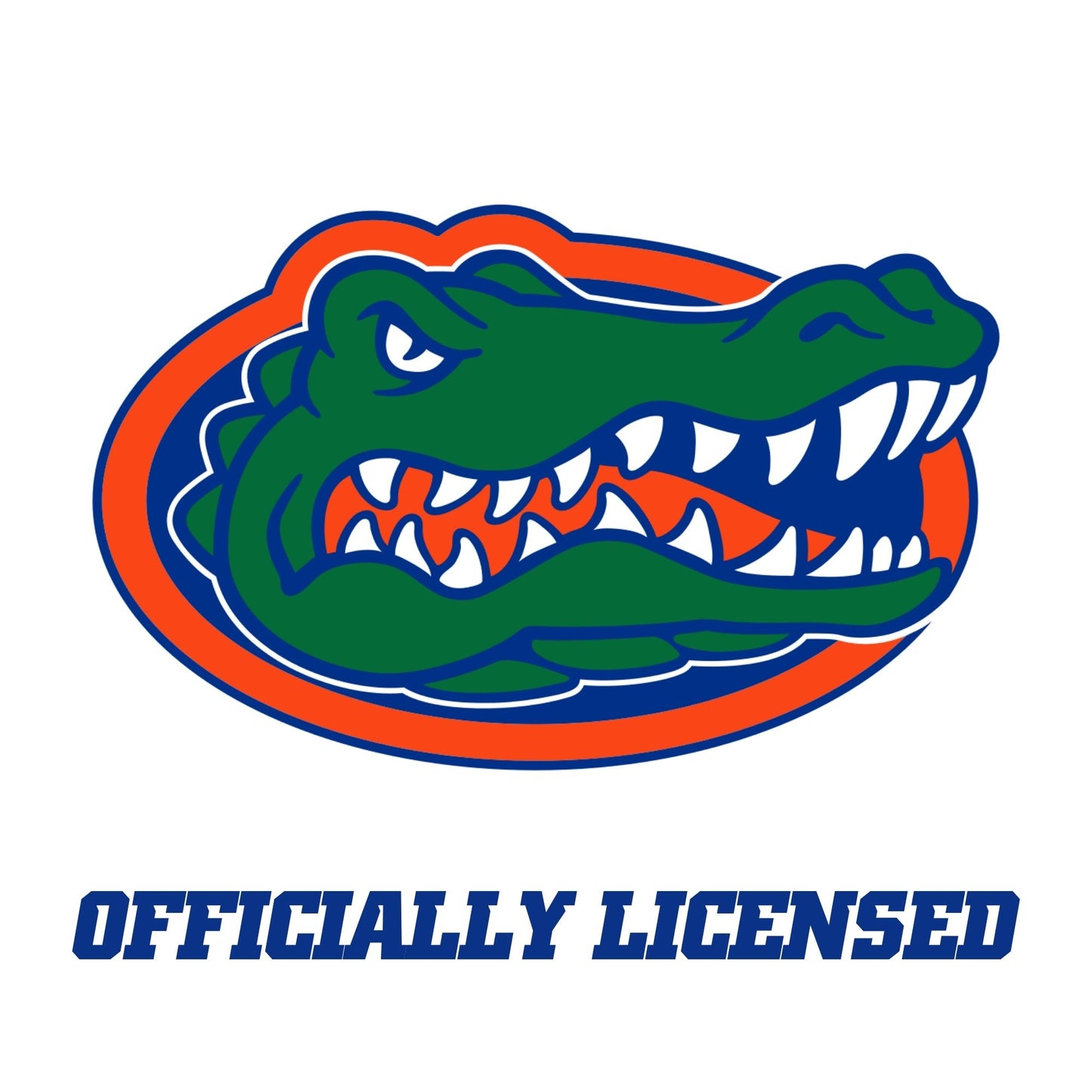University of Florida Century Tower Mini Replica Model Building Set