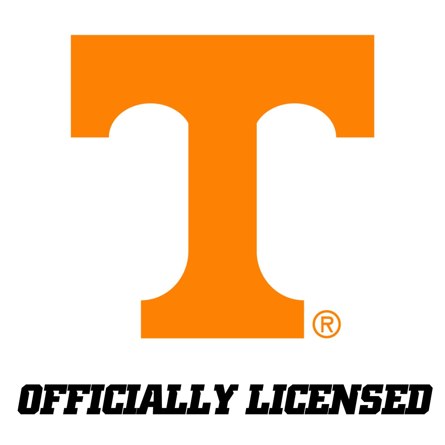 Tennessee Volunteers Football Mini Helmet Custom Set